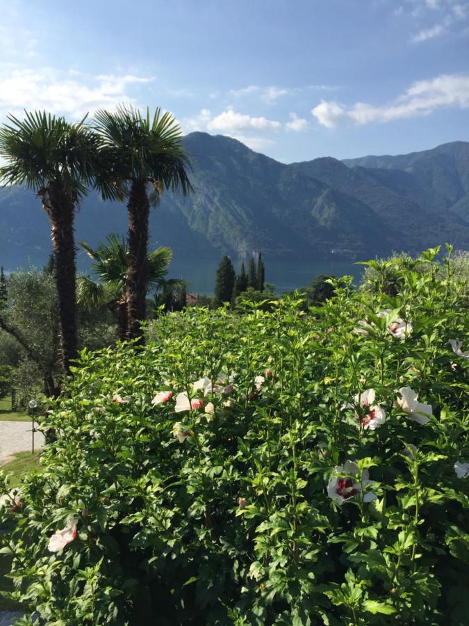 Residenza Margherita トレメッツォ エクステリア 写真